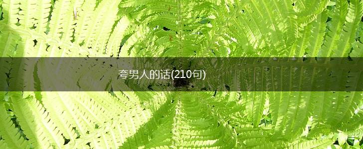 夸男人的话(210句),第1张