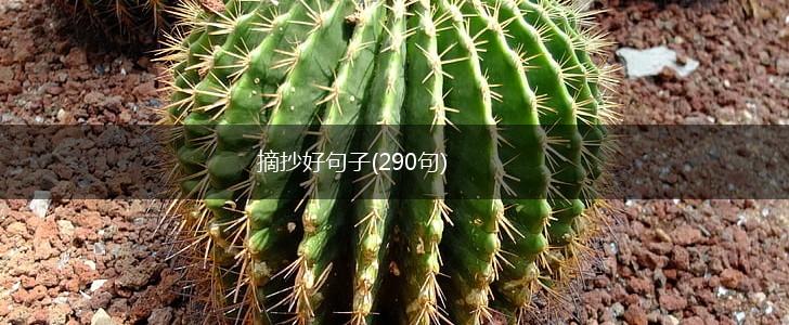 摘抄好句子(290句),第1张