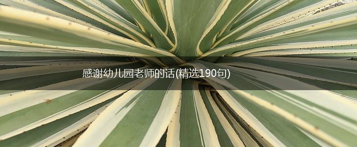 感谢幼儿园老师的话(精选190句),第1张