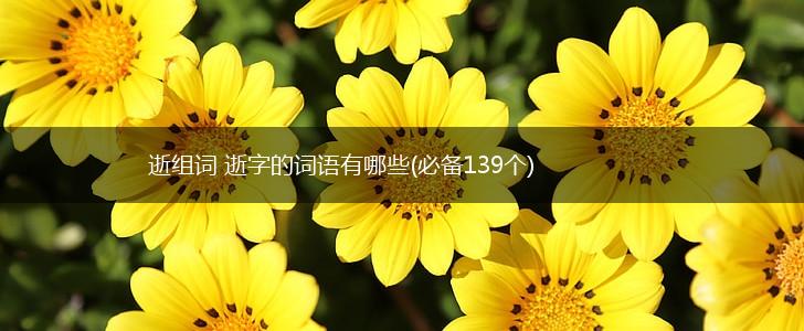逝组词 逝字的词语有哪些(必备139个),第1张