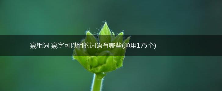 窥组词 窥字可以组的词语有哪些(通用175个),第1张