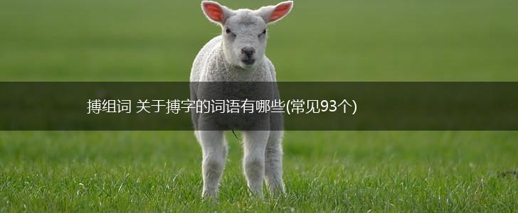 搏组词 关于搏字的词语有哪些(常见93个),第1张