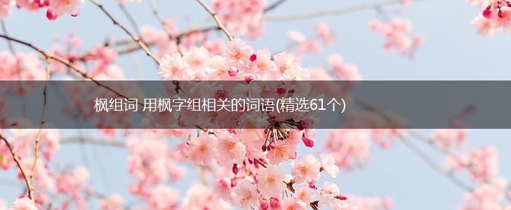 枫组词 用枫字组相关的词语(精选61个),第1张