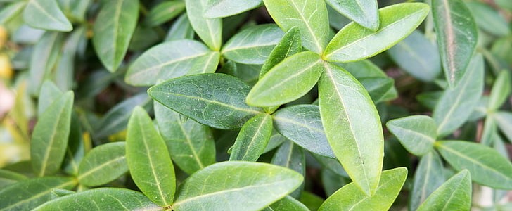 感谢老板比较真诚的话(优选140句),第3张