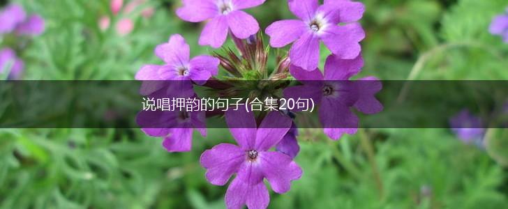 说唱押韵的句子(合集20句),第1张