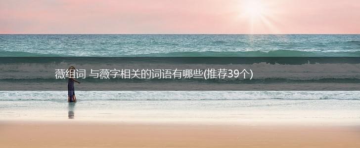 薇组词 与薇字相关的词语有哪些(推荐39个),第1张