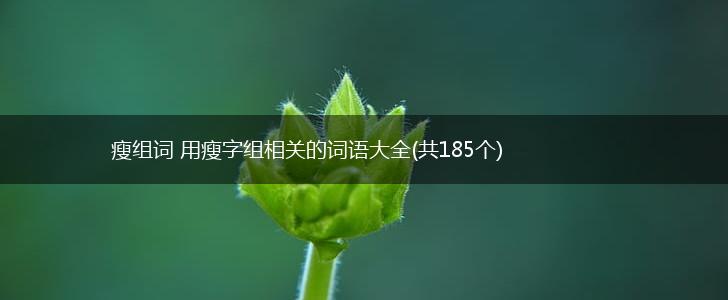 瘦组词 用瘦字组相关的词语大全(共185个),第1张