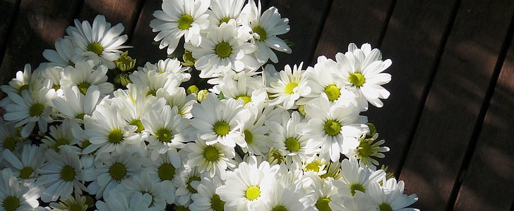 祝事业蒸蒸日上(推荐190句),第3张