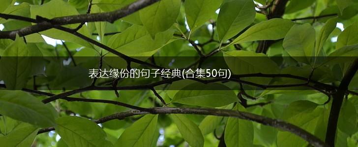 表达缘份的句子经典(合集50句),第1张
