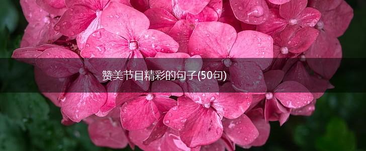 赞美节目精彩的句子(50句),第1张