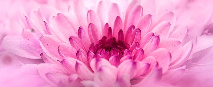 描写太阳的句子(通用130句),第2张