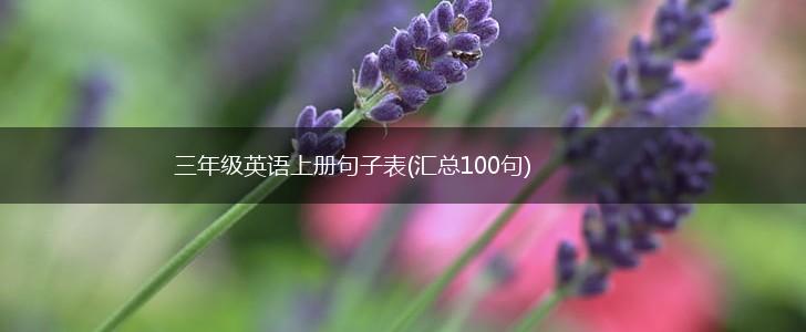 三年级英语上册句子表(汇总100句),第1张
