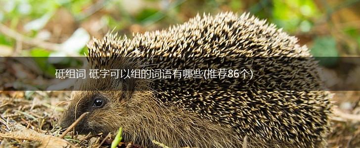 砥组词 砥字可以组的词语有哪些(推荐86个),第1张