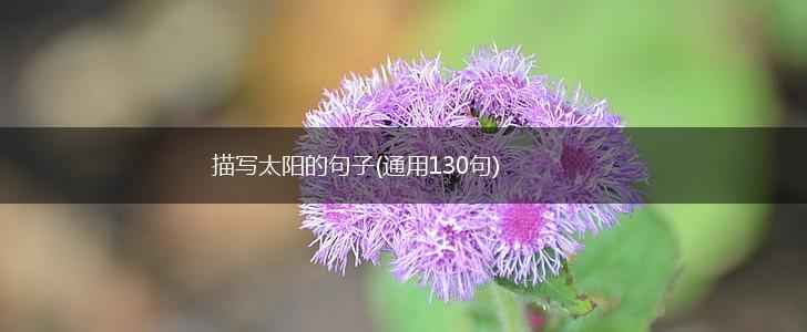 描写太阳的句子(通用130句),第1张