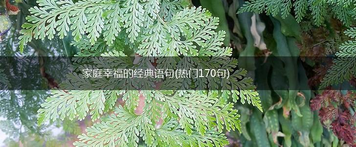 家庭幸福的经典语句(热门170句),第1张
