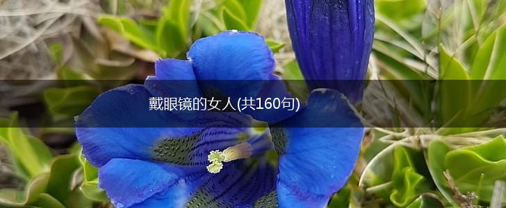戴眼镜的女人(共160句),第1张