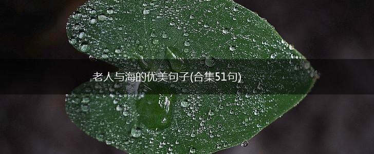 老人与海的优美句子(合集51句),第1张