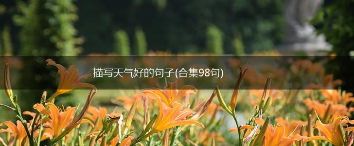 描写天气好的句子(合集98句),第1张
