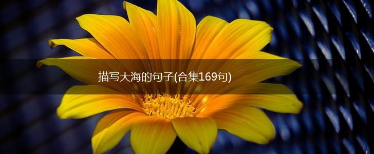 描写大海的句子(合集169句),第1张