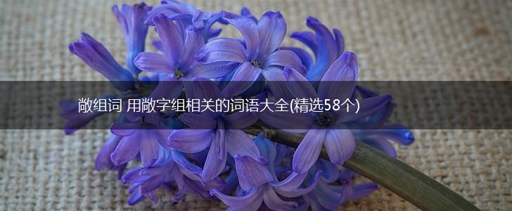 敞组词 用敞字组相关的词语大全(精选58个),第1张