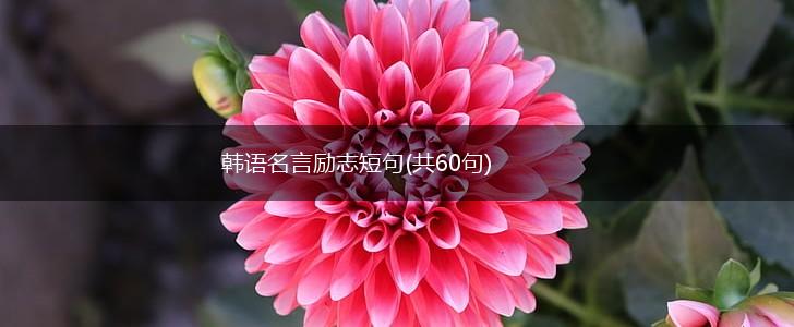 韩语名言励志短句(共60句),第1张
