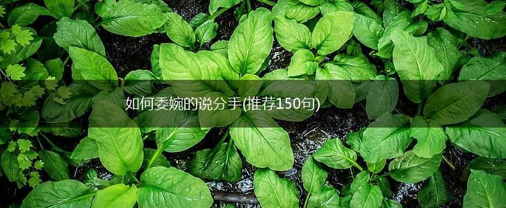 如何委婉的说分手(推荐150句),第1张