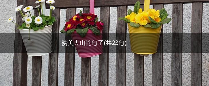 赞美大山的句子(共23句),第1张