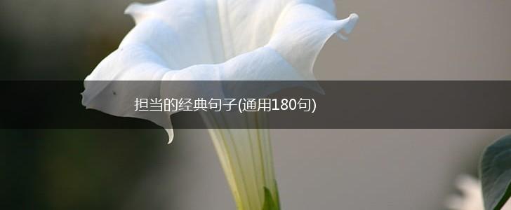 担当的经典句子(通用180句),第1张