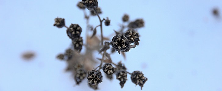 愿岁月静好(热门144句),第3张