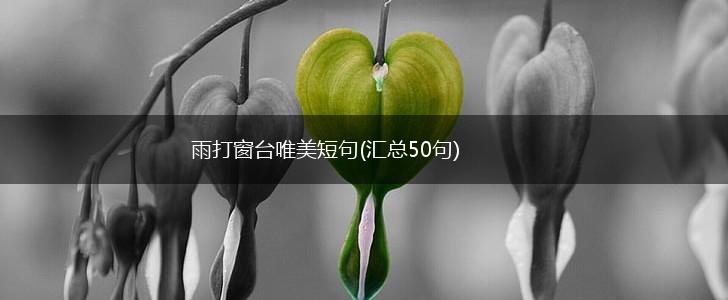 雨打窗台唯美短句(汇总50句),第1张