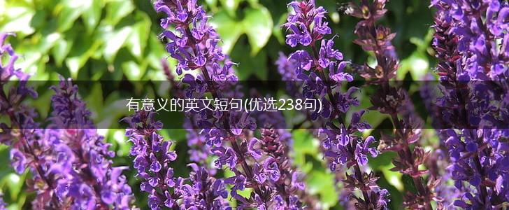 有意义的英文短句(优选238句),第1张