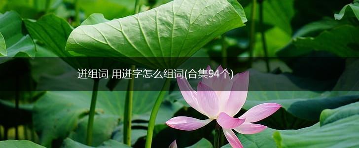 迸组词 用迸字怎么组词(合集94个),第1张