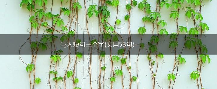 骂人短句三个字(实用53句),第1张 骂人短句三个字(实用53句),第1张