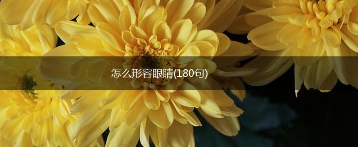 怎么形容眼睛(180句),第1张