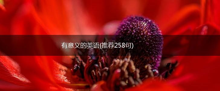 有意义的英语(推荐258句),第1张