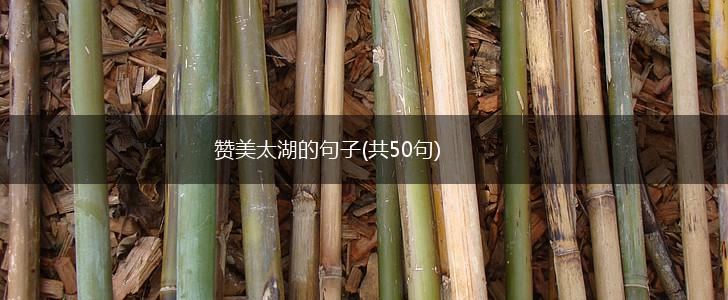 赞美太湖的句子(共50句),第1张