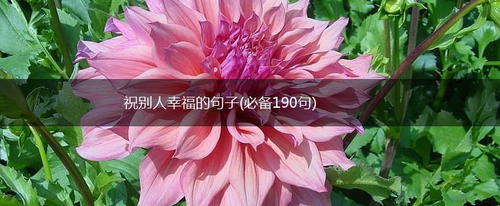 祝别人幸福的句子(必备190句),第1张