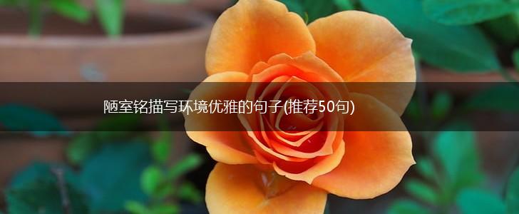 陋室铭描写环境优雅的句子(推荐50句),第1张 陋室铭描写环境优雅的句子(推荐50句),第1张