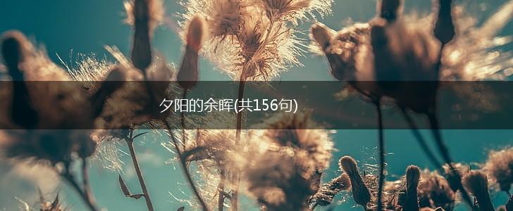 夕阳的余晖(共156句),第1张