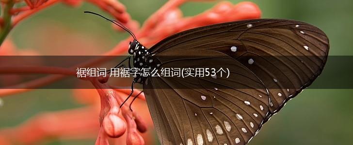 裾组词 用裾字怎么组词(实用53个),第1张