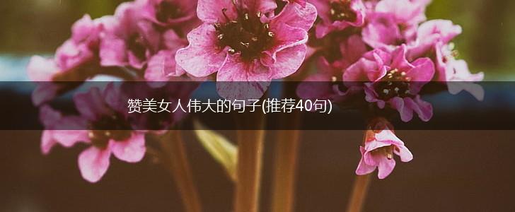 赞美女人伟大的句子(推荐40句),第1张