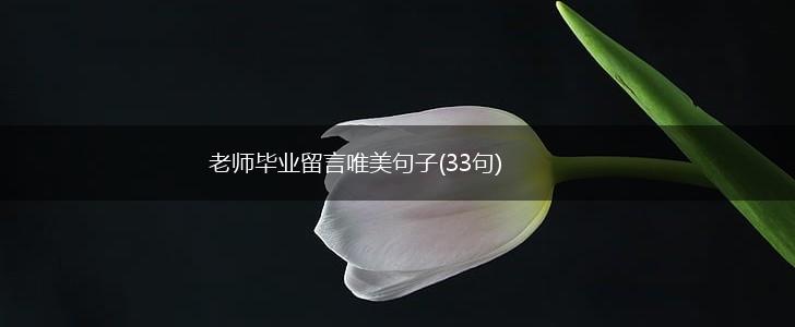老师毕业留言唯美句子(33句),第1张