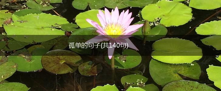 孤单的句子(共140句),第1张