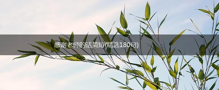 感谢老师的话简短(精选180句),第1张