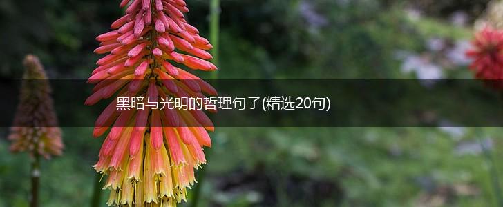 黑暗与光明的哲理句子(精选20句),第1张