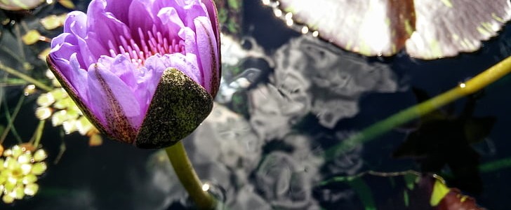 小雨什么地下着(推荐180句),第2张