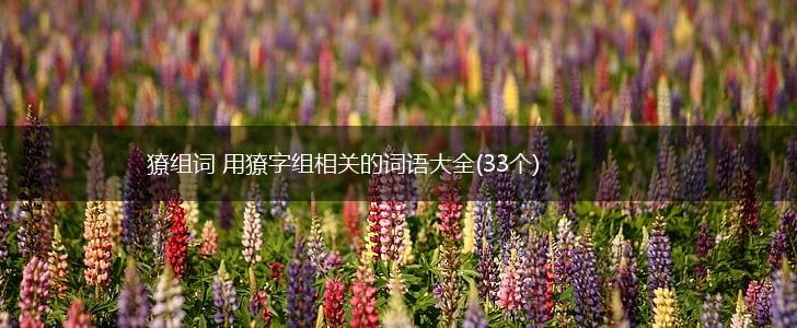 獠组词 用獠字组相关的词语大全(33个),第1张