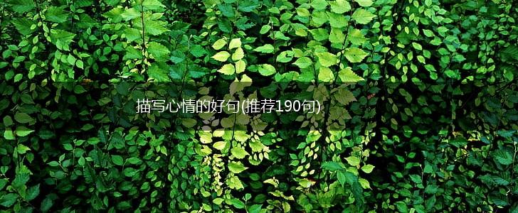 描写心情的好句(推荐190句),第1张