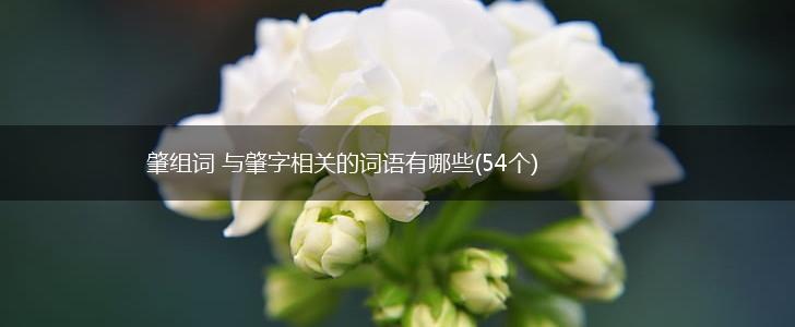 肇组词 与肇字相关的词语有哪些(54个),第1张