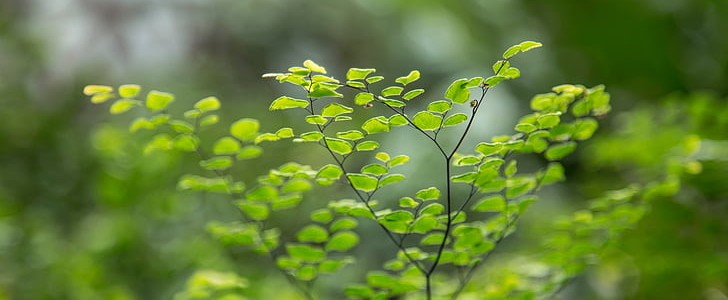 描写冬天的(优选135句),第2张